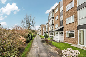 Photo 10- click for photo gallery